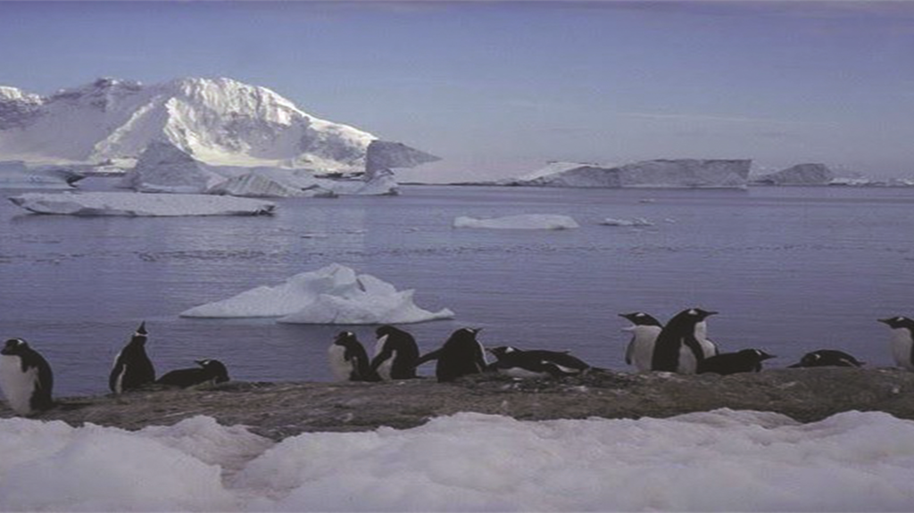 Clima caldo record in Antartide, +18,3 gradi