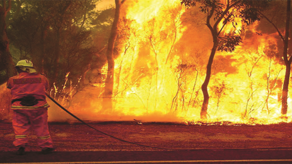 Bruciato delle foreste in Australia, incendi senza precedenti
