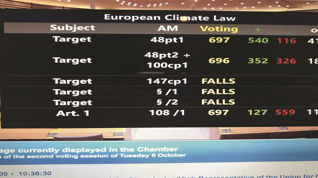 Il Parlamento Ue ha votato per ridurre le emissioni del 60% al 2030