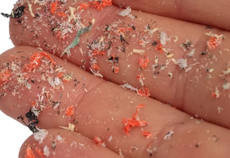 Le microplastiche compromettono la struttura del DNA 