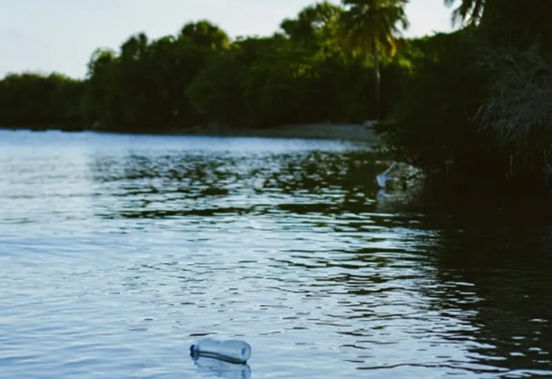 I frammenti di plastica nei fiumi sono zattere per batteri e virus pericolosi