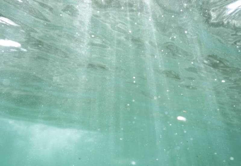 Oceani "di plastica", è allarme
