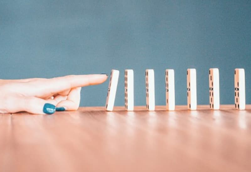 L’effetto domino che anticipa il collasso degli ecosistemi