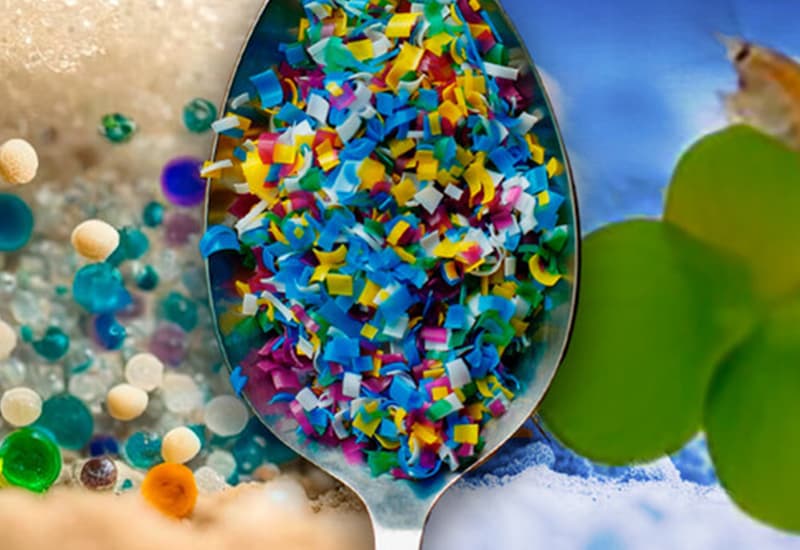 Le microplastiche dall'acqua al piatto, contaminano il cibo