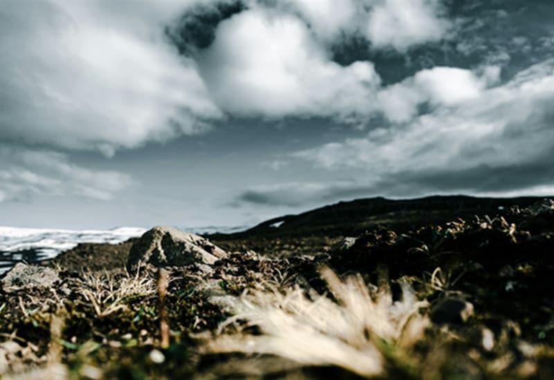 Il permafrost artico emette già oggi più carbonio di quanto ne assorbe