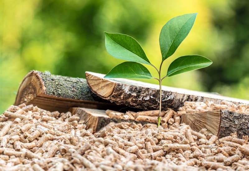 Pellet, il prezzo scende. Scatta la corsa all'acquisto: come sceglierlo