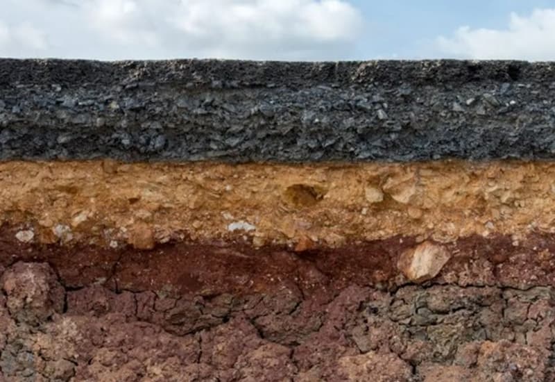 Il clima che cambia distrugge la biodiversità del suolo
