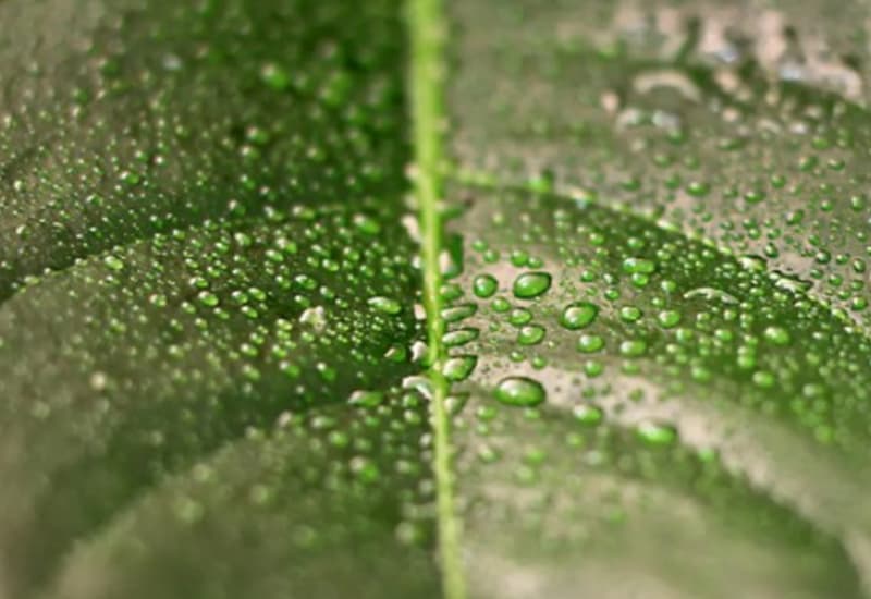 Abbiamo superato i limiti del pianeta per l’acqua dolce