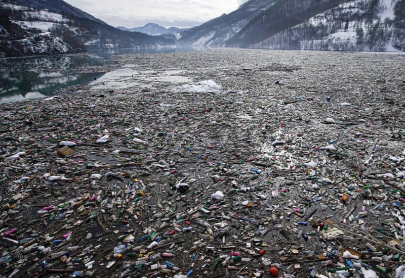 Microplastica anche nei boschi