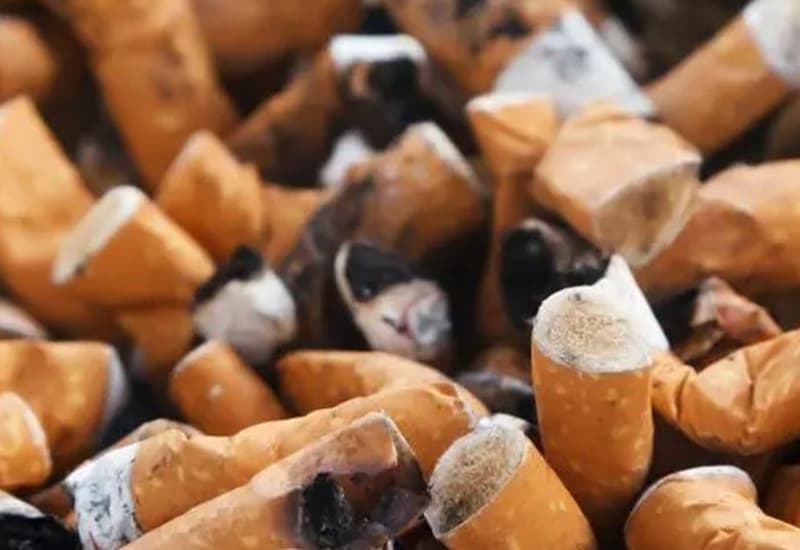 Piccoli gesti, grandi crimini: i mozziconi che inquinano il mare